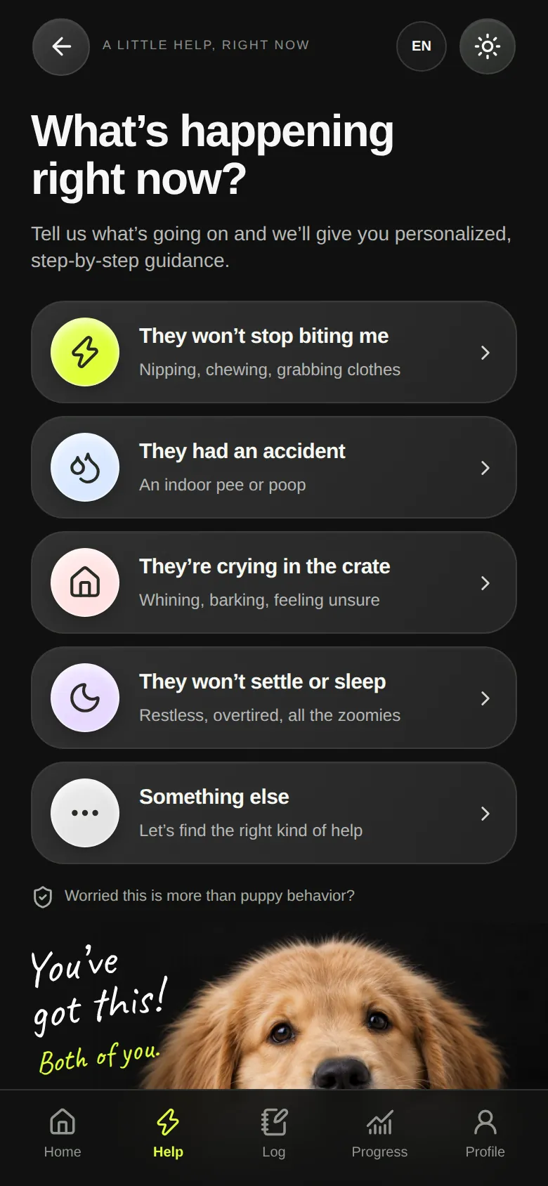 Little Ruff Help screen: What’s happening right now?