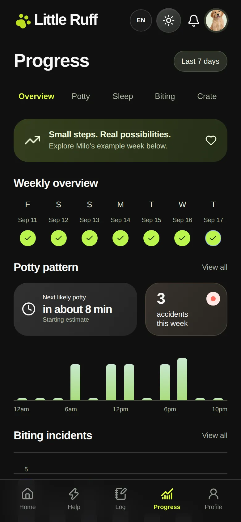 Little Ruff weekly progress